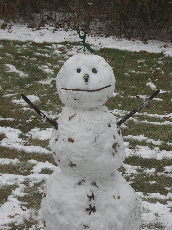 2008-12-07_First_Snow_2nd_set 004.jpg